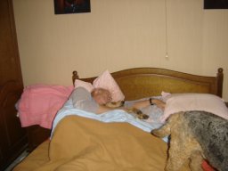 le_nouveau_bobby_20211126_1835414298